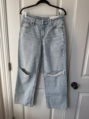 American Eagle Strigid Curvy stovepipe 4 regular skylight NWT